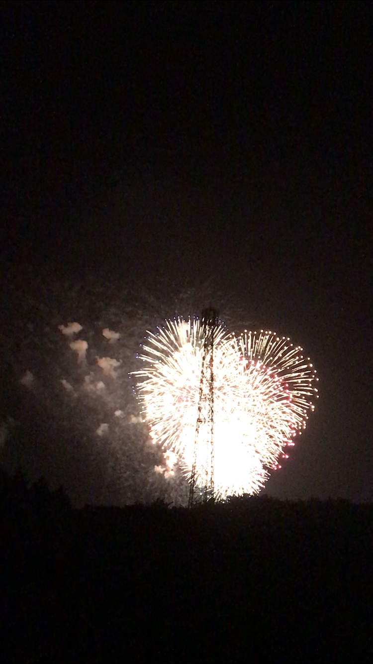 芦野聖天花火大会