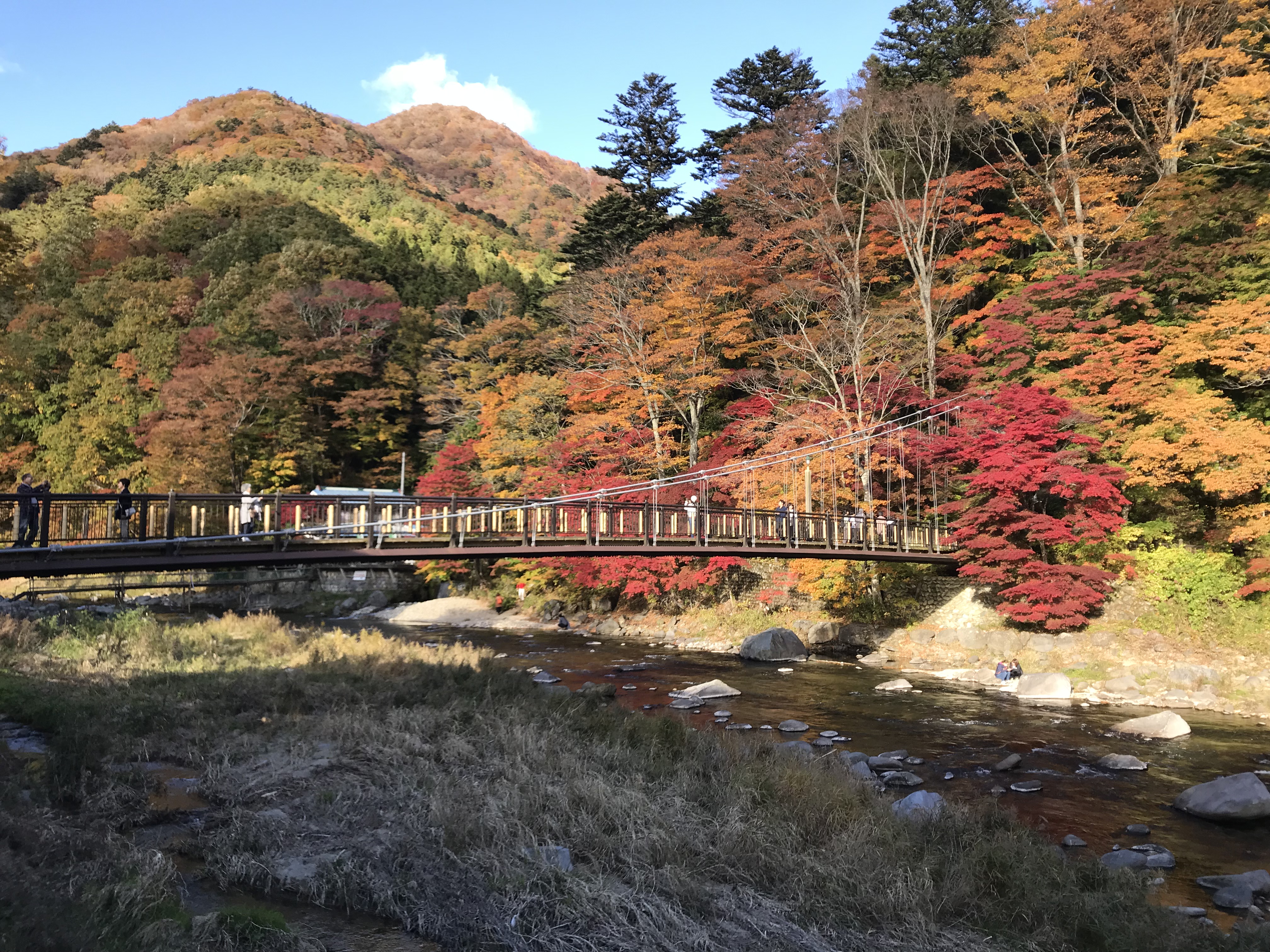 紅葉観覧ドライブ