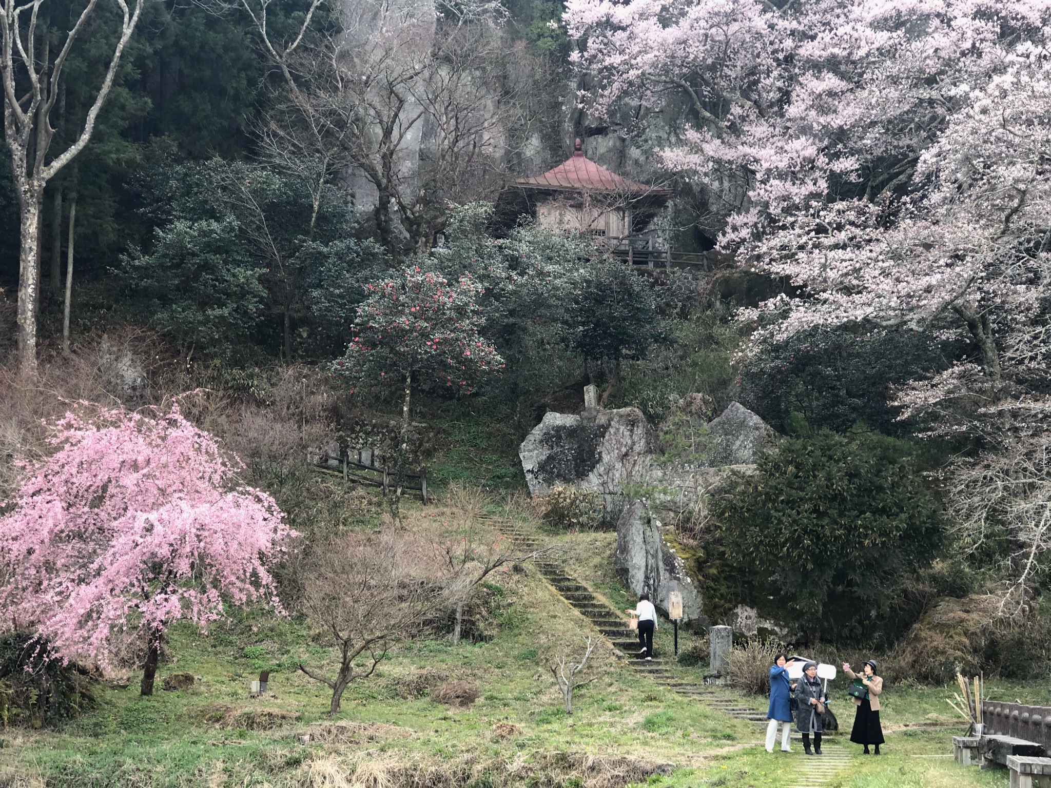 お花見ドライブ（芦野～黒磯）