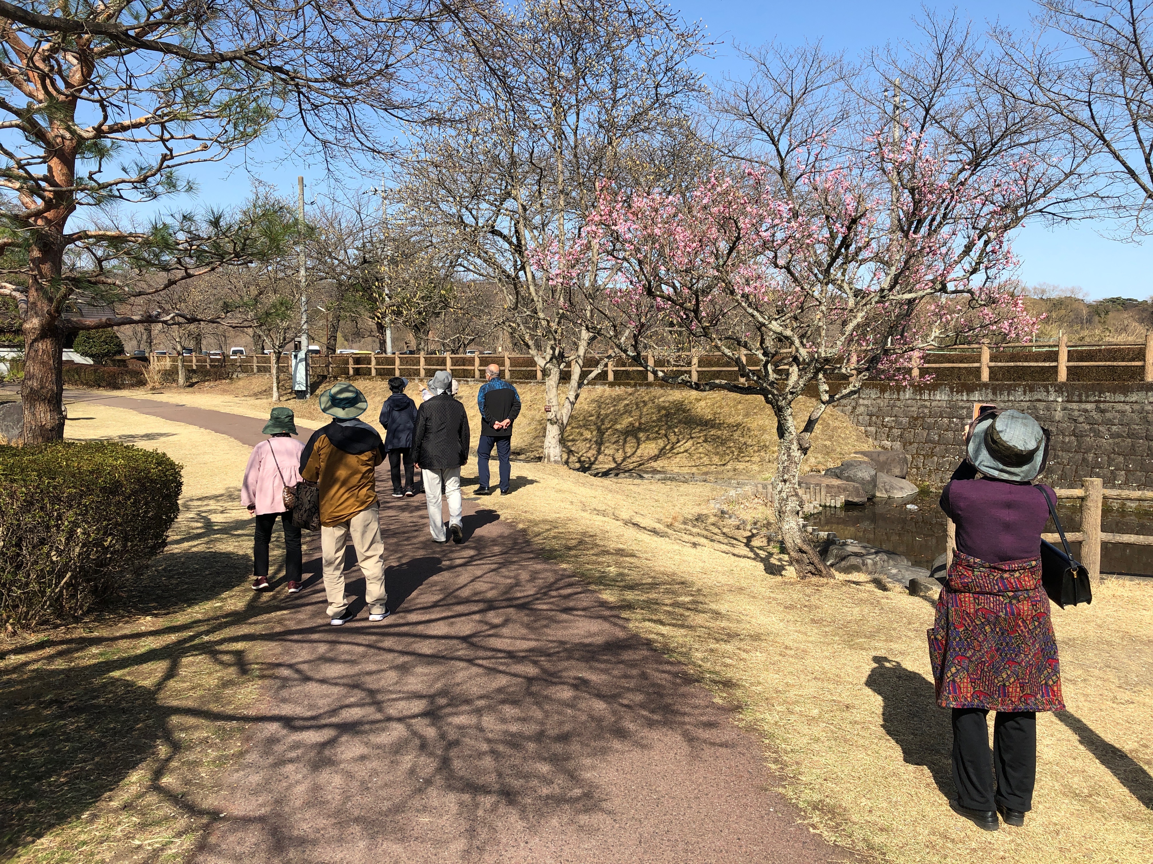 外出ウォーキング：那珂川河畔公園